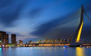 Puente de Rotterdam 