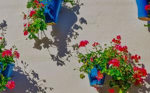 Imagen HEADER de fondo grande