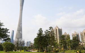 Torre de Televisi�n