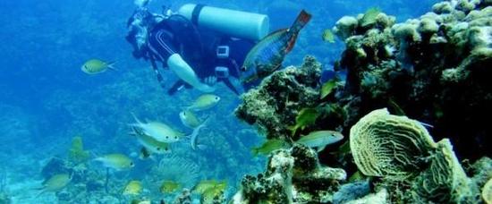 Hoteles en San Andr�s