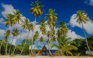 Imagen HEADER de fondo peque�a