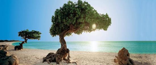 Viajes a Oranjestad