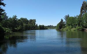 Valdivia