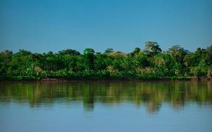 Imagen HEADER de fondo grande