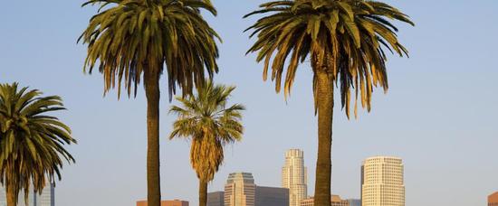 Viajes a Los ?ngeles, CA - LAX