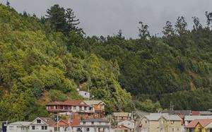 Imagen HEADER de fondo peque�a