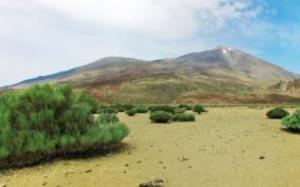 Teide