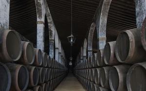 Jerez de la Frontera