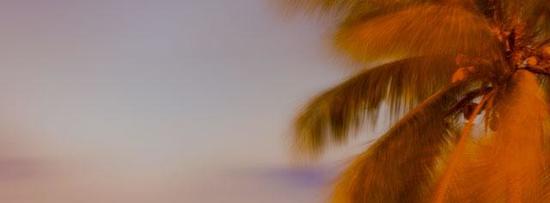 Hoteles en Miami