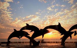 Imagen HEADER de fondo grande