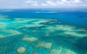 Gran barrera de Coral