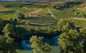 Imagen HEADER de fondo peque�a