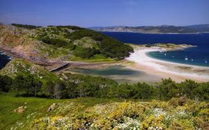 Imagen HEADER de fondo grande