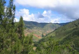 Constanza