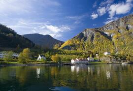 Flam