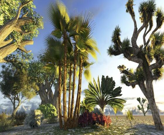 Foto destino