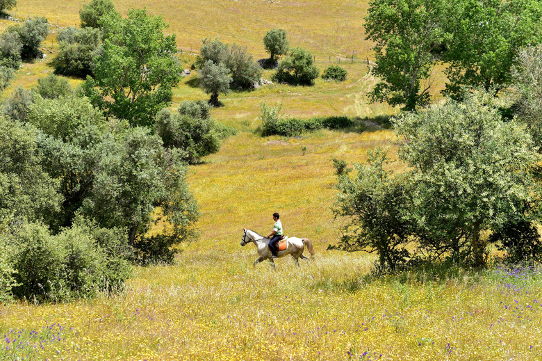Hotel Pousada De Arraiolos - N. Sra. Da Assun�ao