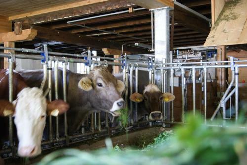 Apartamento S'landhaus