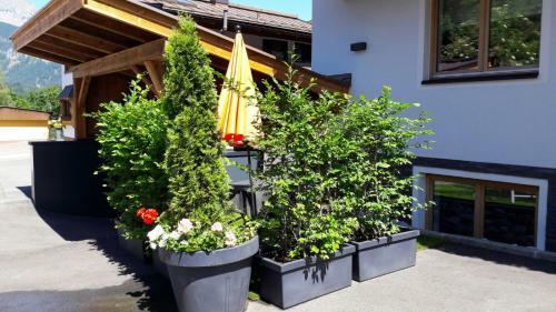 Apartamento Ferienwohnung Fichtler