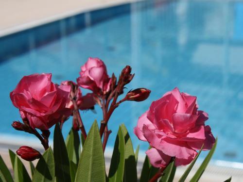 Apartamentos Sportpension Aichholzer