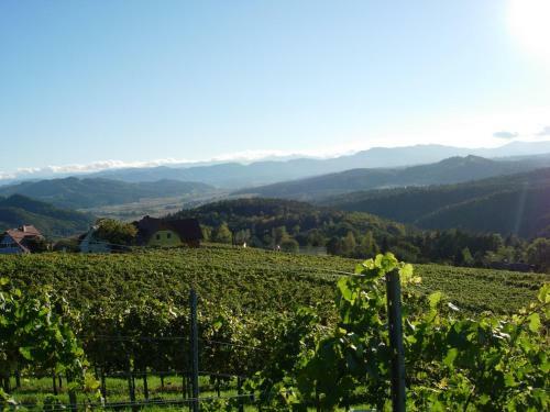 Agroturismo Weingut Schlafgut Genussgut Lorenz