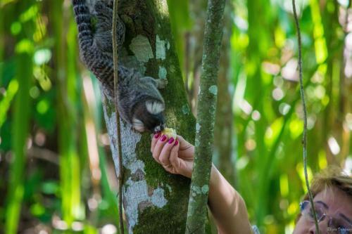 Hostal Pousada Villa Del Rey