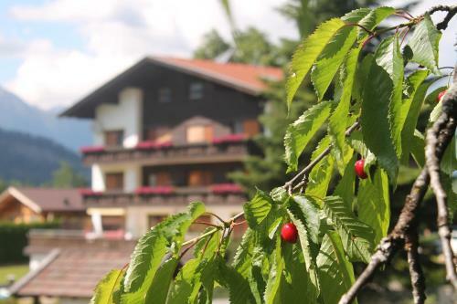 Apartamento Ferienwohnungen Dietmar Th�ni