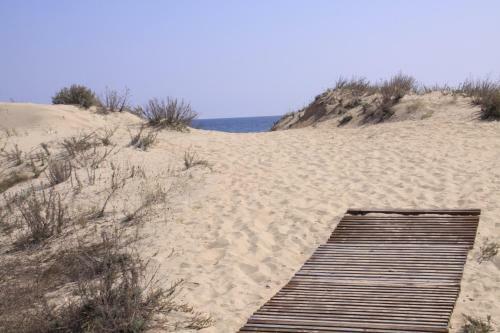 Golden Dunes Primorsko Apartments