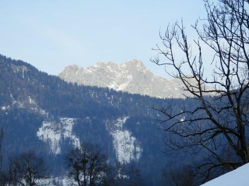 Apartments Saalachtal