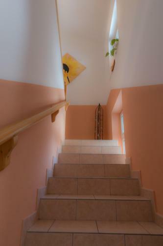Apartamento Appartement Falkner Cilli