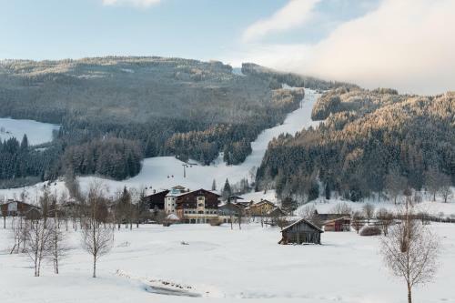 Hotel Zum Jungen R�mer