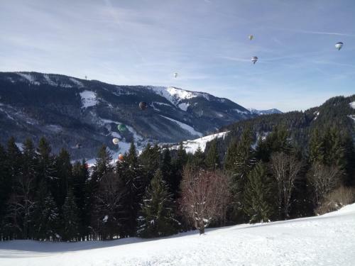 Apartamento Haus Ellbrunn