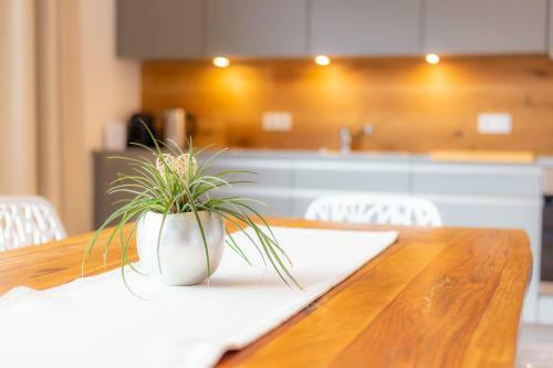 Freiblick Apartments - Ski In/ski Out