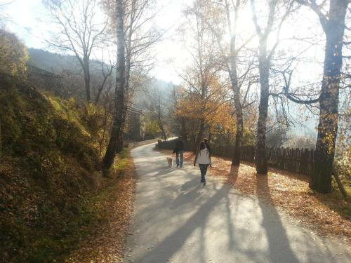 Agroturismo Guest House Vesko & Suzi