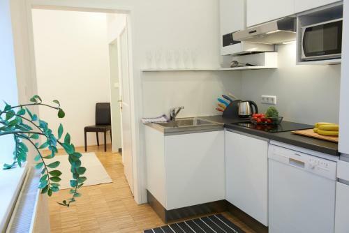 Viennaflat Apartments - Franzensgasse
