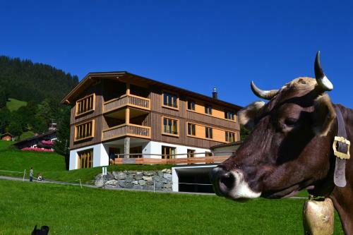 Apartamento Ahorn Chalet Mittelberg