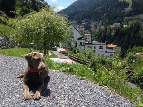Apartamento Villa Behrens