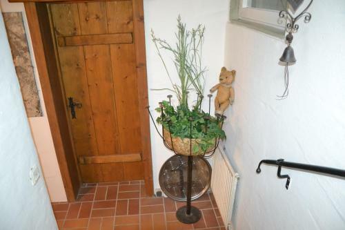 Apartamento Appartementhaus Anka