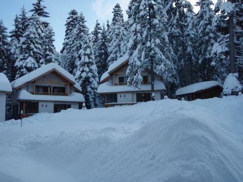 Saint George Holiday Village