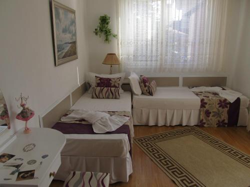 Private Home Yani Popov