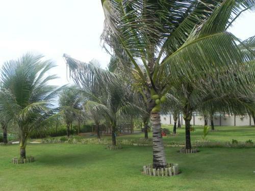 Apartamento Village Acapulco - Itacimirim/ba