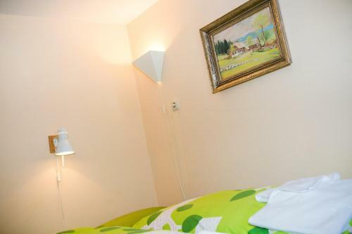 Hotel Alpengasthof Paletti