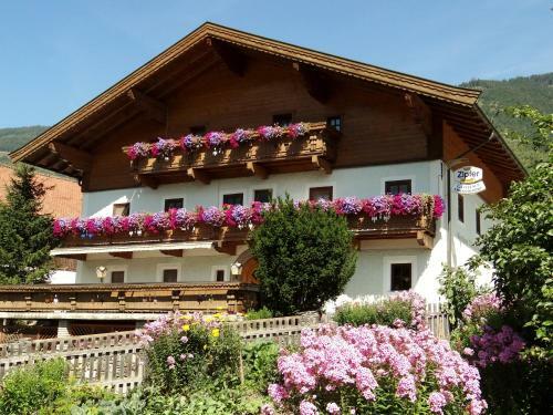 Apartamento Appartement Auszeit