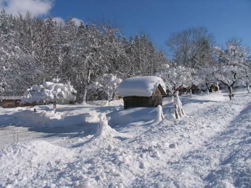 Hostal Gasthof Staud'nwirt