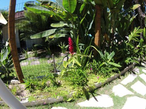 Hostal Pousada Pandoro