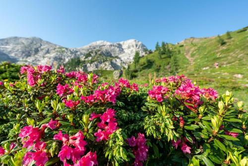 Der Tr�polacherhof Hotel & Restaurant