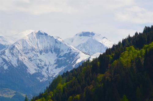 Appartement Eichenhof Top 3 By Alpen Apartments