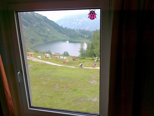 Hotel Berghof Tauplitzalm