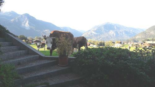 Apartamento Landhaus M�ller