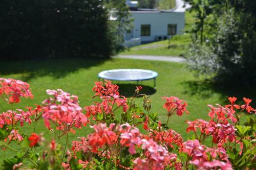 Apartamento Holiday-appartements